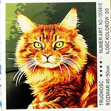 Iný materiál - AKCIA!!! Maľovanie podľa čísel na plátno na ráme, 50x40 cm (mačka) - 15362110_