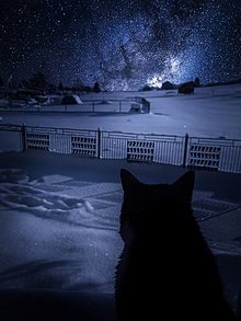 Fotografie - winter night - 15361972_