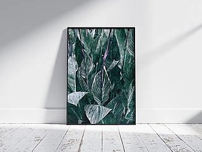 Kresby - Plagát| Maľba Rastlina - zelené pruhované listy - 15368571_