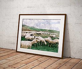 Kresby - Plagát| Maľba Stádo oviec na pastve - 15378430_