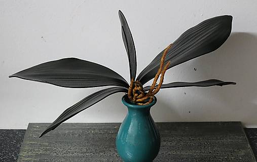 Iný materiál - Listy orchidei s koreňom 25cm* - dekorácia - 15384383_