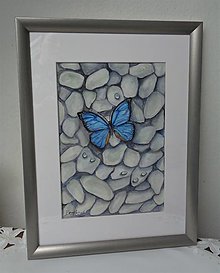 Obrazy - Motýľ na kamienkoch - akvarel (strieborný matný rám) - 15396001_