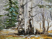 Obrazy - Zimný les - 15409674_