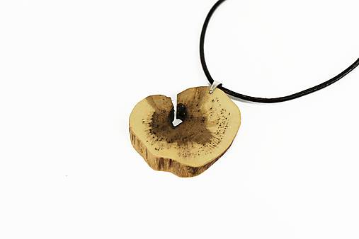 Náhrdelníky - Prívesok vinič - Vitis vinifera č.17 - 15411192_