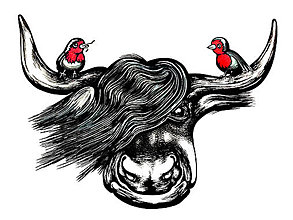 Grafika - Škótsky býček a červienky - 15409770_