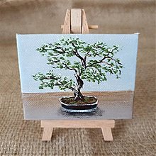 Dekorácie - Zelený bonsaj (mini plátno) - 15418323_