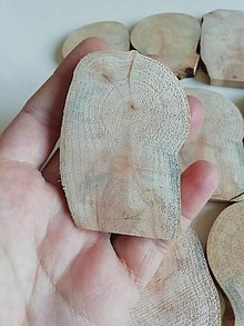 Dekorácie - Drevené plátky - topoľ (extra nepravidelné, priemer 4,5-6cm, balenie 8ks) - 15425924_