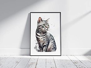 Grafika - Plagát| Americká krátkosrstá mačka - 15429200_