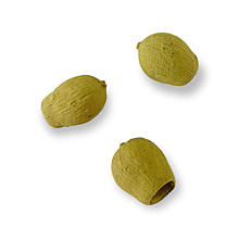 Suroviny - Sušený plod EUKALYPTUS kalich 3 ks - Olivovo zelený H08046 - 15432123_