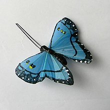Polotovary - Motýlik modrý 8cmx5,5cm - štipec - 15431885_