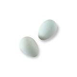 Polotovary - Dekoračné plastové vajíčko - Modré CAN532M - 15434829_