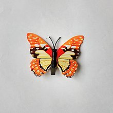 Polotovary - Motýlik oranžový - štipec/7cmx5cm/ - 15433922_