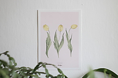 Kresby - Akvarelový art print| botanická ilustrácia Tulipány - 15445069_