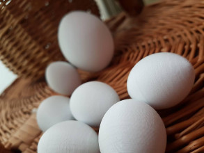 Polotovary - Dekoračné vajíčko MINI - plastové (Vajíčko MINI - s vrchnáčikom úchytom) - 15450598_