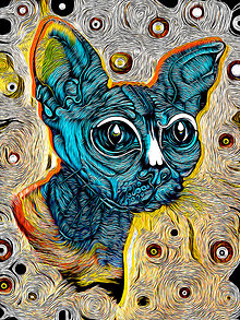 Grafika - Sphynx Cat v modrom - 15449681_
