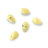 Polotovary - Dekoračné vajíčka polystyrenové 6 ks - Pastelovo žlté CAN106_Y - 15451430_