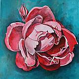 Obrazy - Ruža, 40 x 40 cm, akryl - 15458869_