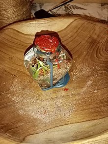 Minerály - Home protection spell jar - 15460823_