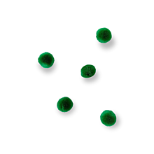 Polotovary - Plyšové POM POM guličky 5 ks - Zelené R7651229 - 15463929_