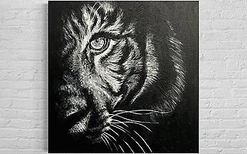 Obrazy - Obraz Tiger - 15481278_