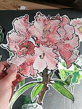 Materiál ručne robený - Ručne maľované a ručne rezané nálepky na okno - Kvety - 15481799_