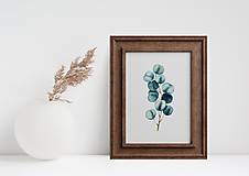 Grafika - Plagát| Eucalyptus No.1 (A3  260g s farebným pozadím) - 15486536_