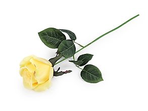 Polotovary - Umelá ruža (Žltá) - 15489800_