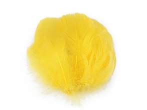 Polotovary - Pštrosie perie 6-11 cm (Žltá) - 15489816_