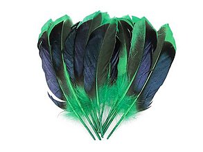 Polotovary - Kačacie perie 13-15 cm (Zelená) - 15489998_