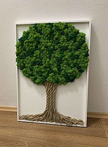 Obrazy - Machový strom života v ráme - 15489602_