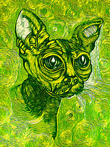 Grafika - Sphynx Cat v zelenej - 15493566_