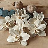 Polotovary - Prírodný kvet Orchidea - 15497366_