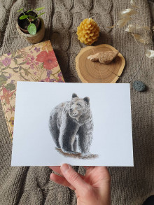 Kresby - Kresba -medveď hnedý - 15498677_