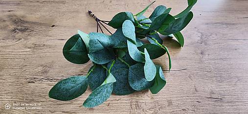 Dekoračný eukalyptus - 30 cm