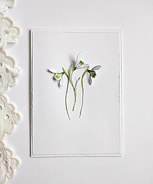 Papiernictvo - Pohľadnica - 15504037_