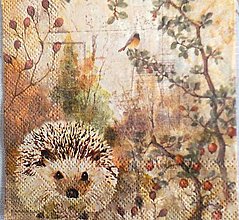 Papier - servítka - 15510116_