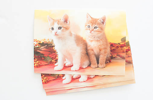 Papier - Pohľadnica mačičky duo - 15509717_