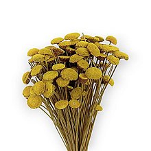 Suroviny - Sušené kvety BOTAO 80 g - Žlté H04002 - 15520360_