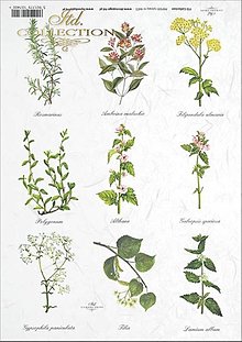 Papier - Ryžový papier R 401/ A4 - 15523610_