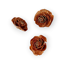 Suroviny - Cédrová ruža - Prírodná H19301 - 15532875_