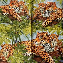 Papier - Leopardia rodinka - 15545780_