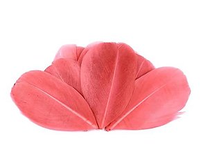 Suroviny - Husacie pierka 5,5-7 cm, 10 ks (ružové koralové) - 15549908_