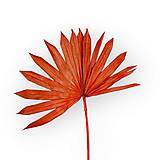 Suroviny - Sušený palmový list - Oranžový H63304 - 15554378_