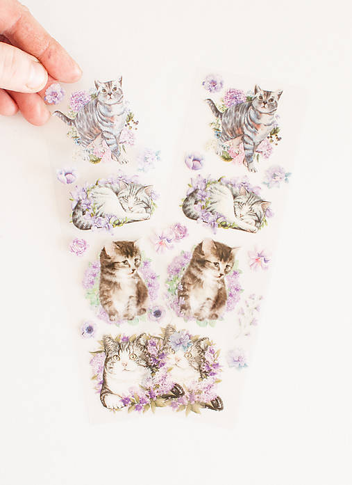 Iný materiál - Transparentné nálepky - cute cat II. "ako živé" - 15556988_