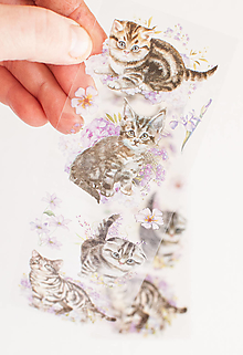 Iný materiál - Transparentné nálepky - cute cat "ako živé" - 15556986_