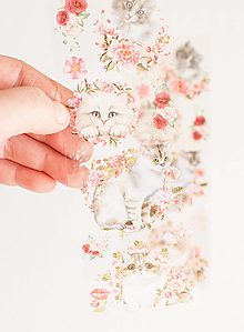 Iný materiál - Transparentné nálepky - cute cat pinky "ako živé" - 15557002_