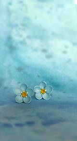 Náušnice - Modré kvety - 15561754_