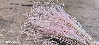 Suroviny - Dekoratívna sušená tráva - Stipa - Ružová - 10 gramov - 15565112_