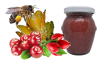 Včelie produkty - Med s obsahom brusníc a šípok - 15567046_