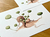 Grafika - Zelený svet - Print | Botanická ilustrácia - 15569991_